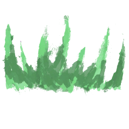 Initial Trail Particle